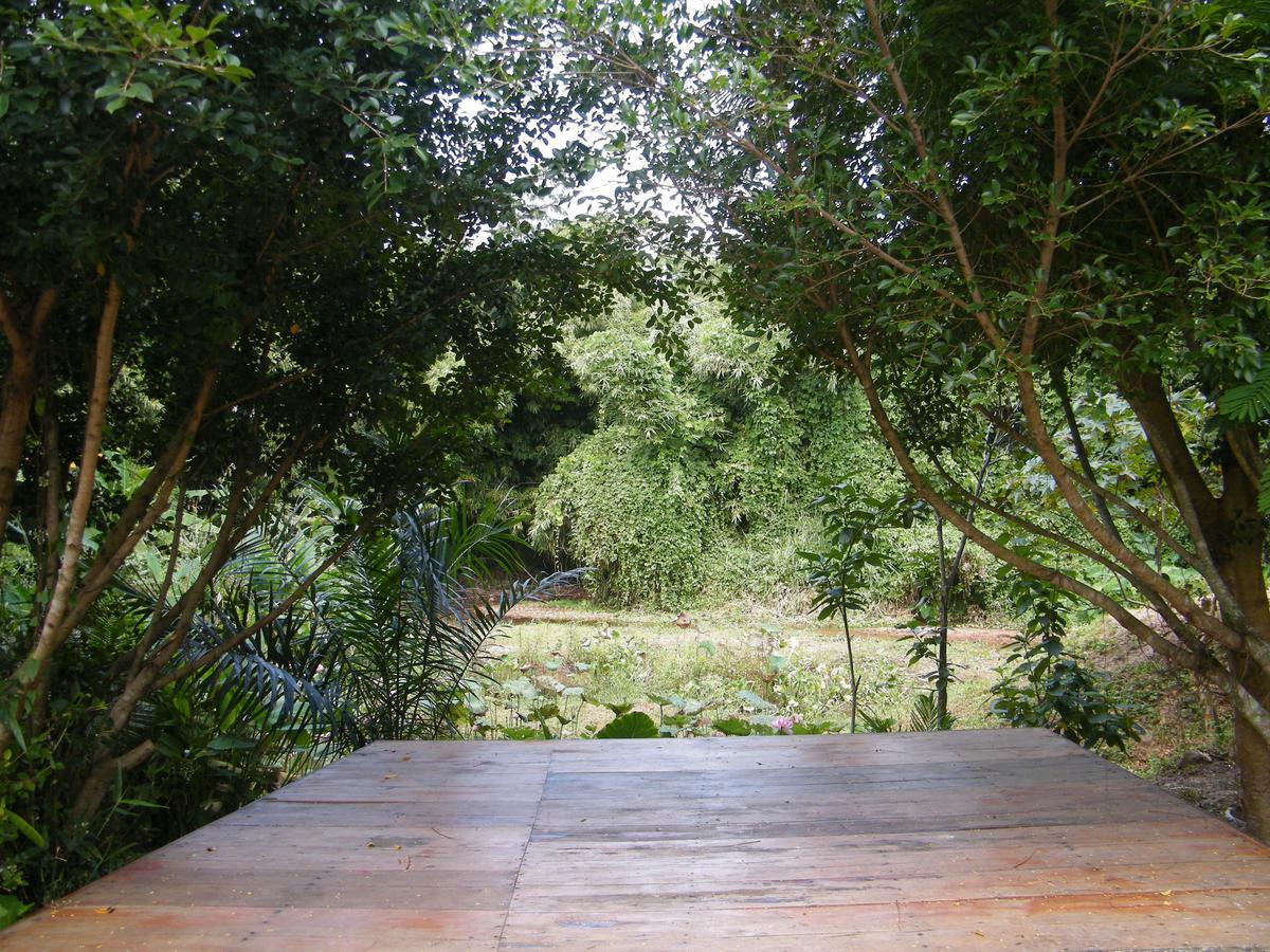 Ya Teng Homestay Ban Tha Sai Exterior foto